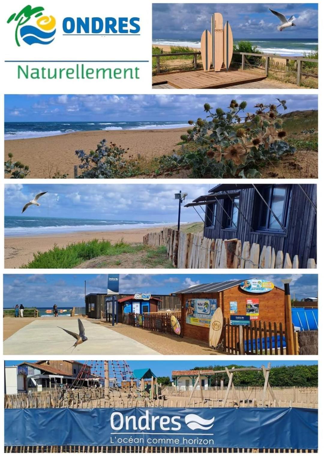 T2 Turquoise Ondres Plage Avec Piscine Et Tennis Bagian luar foto